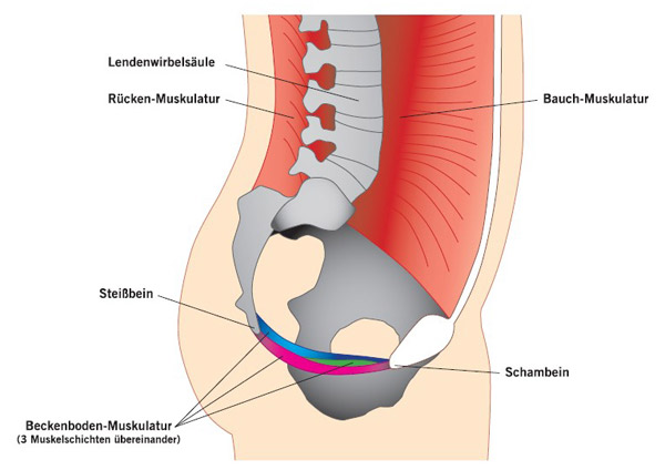 Beckenboden-Bruecke-seitlich